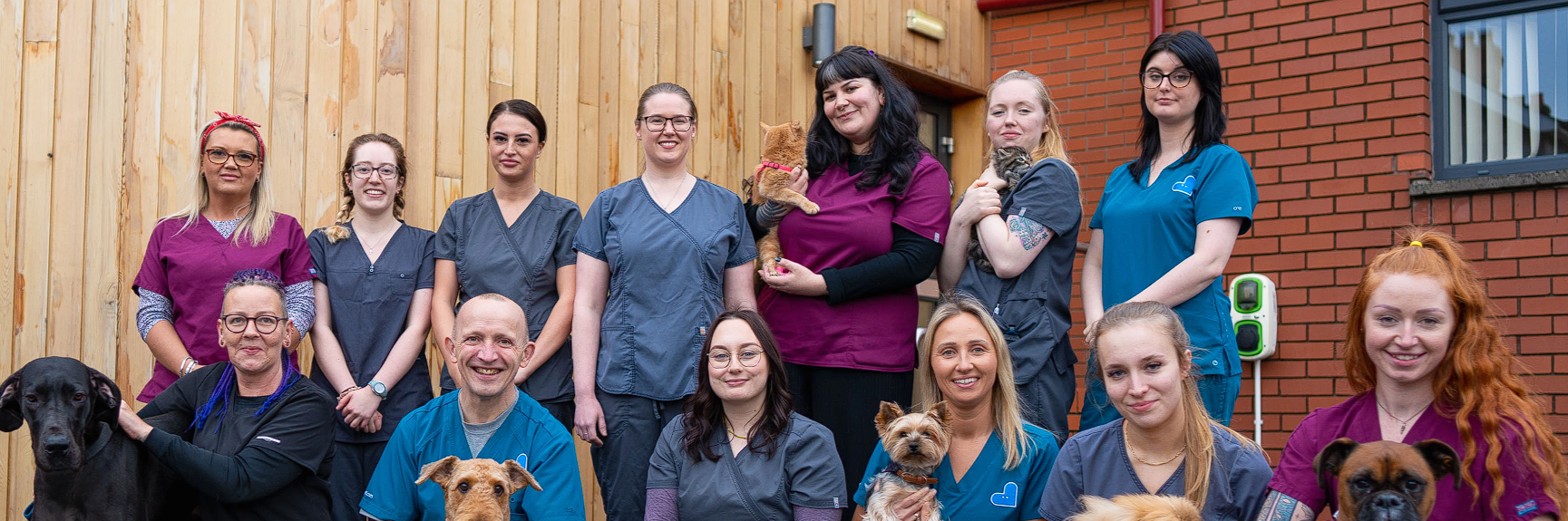 Cornerstone Veterinary Clinic, Belfast